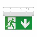 Doxa Standard Exit Sign With Multiple Mounting Positions, Down Legend