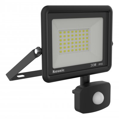 Rhine II 30W LED Floodlight With PIR, 6500K