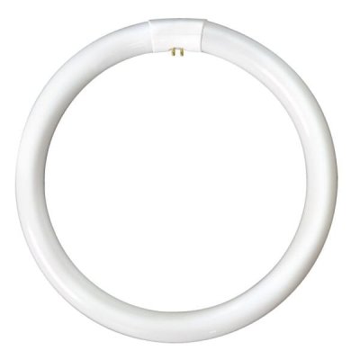 60W T9 Triphosphor Circular Tube - 4 Pin, 4100K