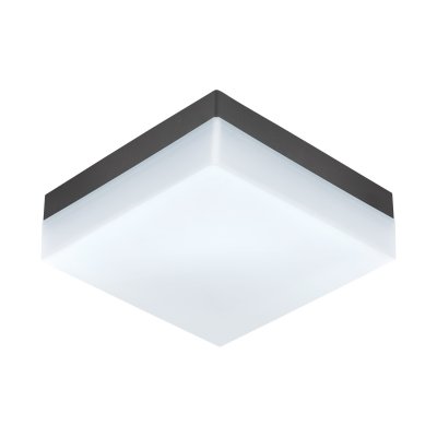 Wall / Ceiling Light Plastic Anthracite / Plastic White - SONELLA