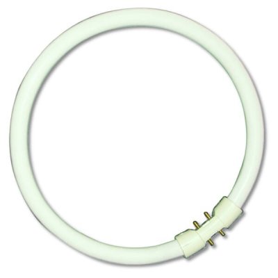 55W T5 Circular Tube - 2GX13, 4000K