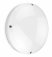 Blanca-i IP65 Bulkhead With Integrated LED Tray And Built-in Emergency Module