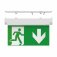 Doxa Standard Exit Sign With Multiple Mounting Positions, Down Legend